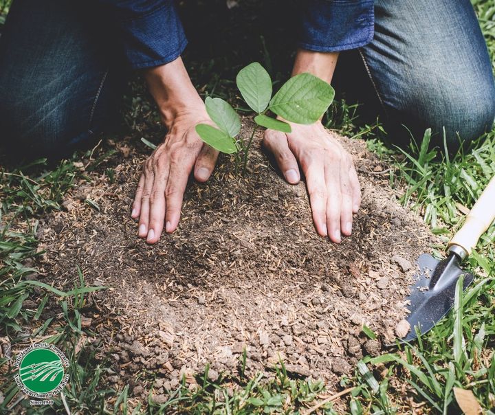 Petit Jean Electric Cooperative