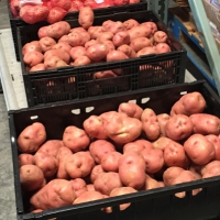 Petit Jean Electric’s Food Bank Program helps members with bill payments, groceries