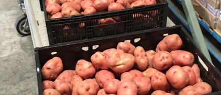 Petit Jean Electric’s Food Bank Program helps members with bill payments, groceries