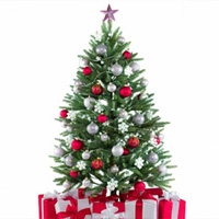 Keep the Season Bright and Your Electric Bill Light: Surprises Are Wonderful Under the Tree, but Not On Your Monthly Statement