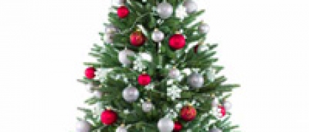 Keep the Season Bright and Your Electric Bill Light: Surprises Are Wonderful Under the Tree, but Not On Your Monthly Statement