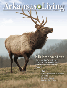 Current issue of Arkansas Living Magazine 