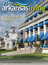 Current issue of Arkansas Living Magazine 
