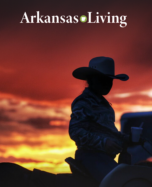 Current issue of Arkansas Living Magazine 
