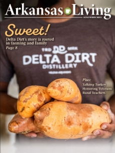 Current issue of Arkansas Living Magazine 