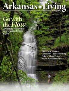 Current issue of Arkansas Living Magazine 