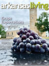 Current issue of Arkansas Living Magazine 
